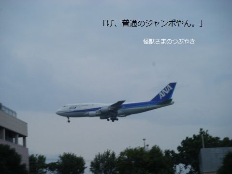 a0090451_1320026.jpg