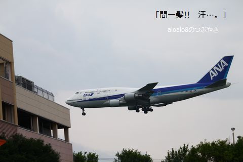 a0090451_13204363.jpg