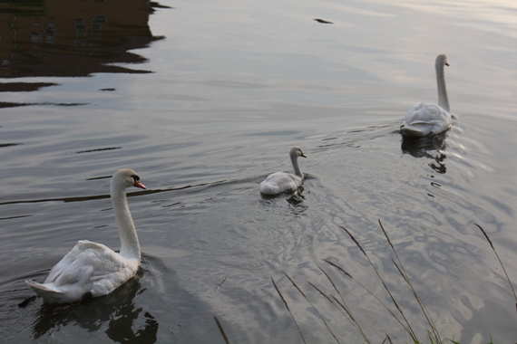 f0213651_21274629.jpg