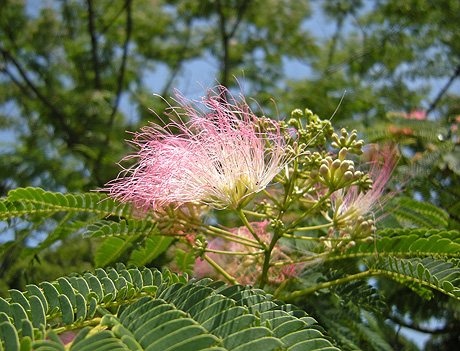 a0001354_17472338.jpg
