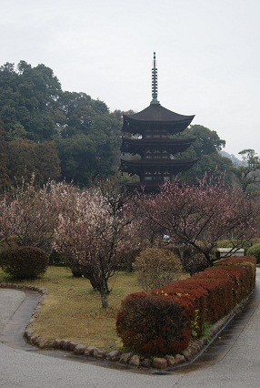 a0151356_1959107.jpg