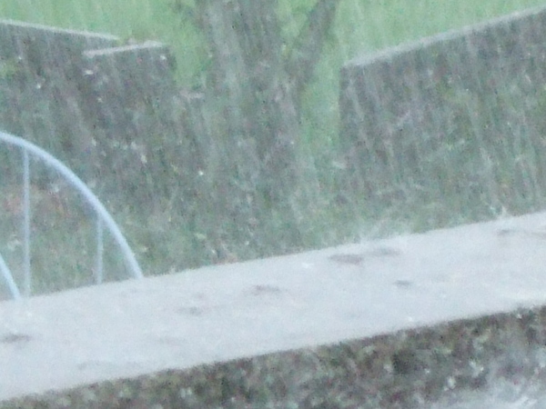 b0197668_16402788.jpg