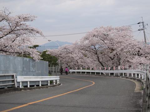 c0013368_1104869.jpg