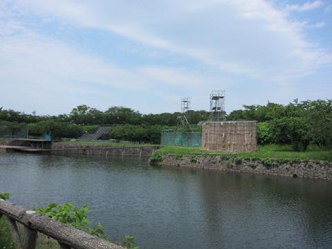 c0013368_11365538.jpg