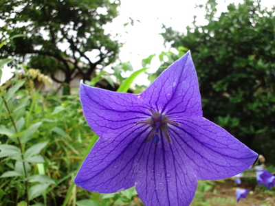 b0169869_3241398.jpg