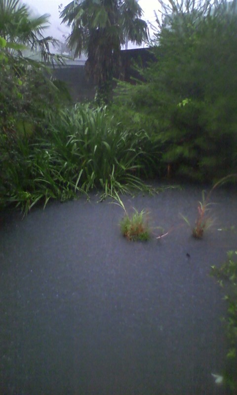 c0105569_084684.jpg
