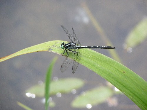 d0084473_20134169.jpg