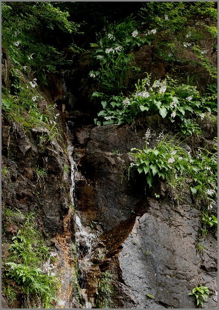 f0181173_0234627.jpg