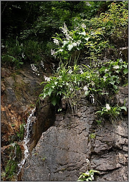 f0181173_024356.jpg