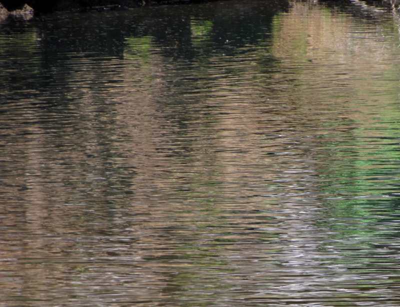 c0183777_9223822.jpg