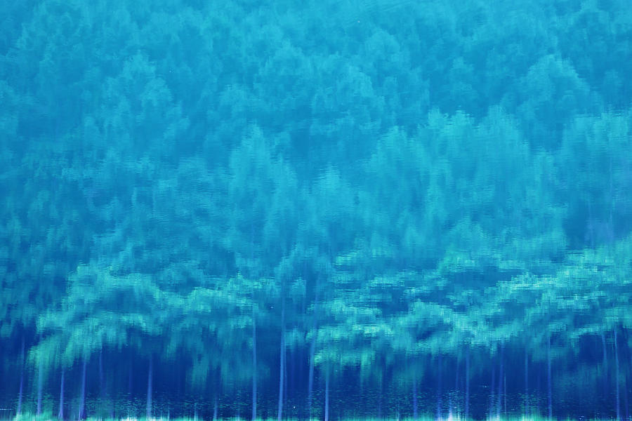 b0083779_003123.jpg