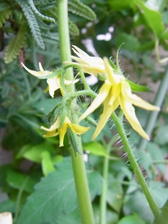 f0014980_1525159.jpg
