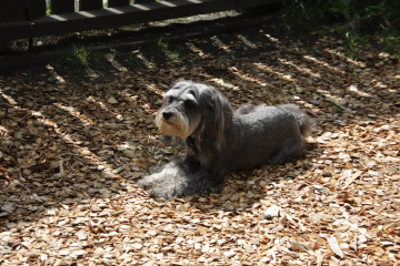 f0155381_21103655.jpg