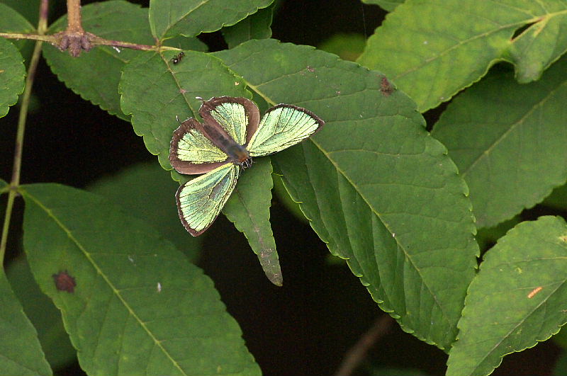 f0031682_1227249.jpg