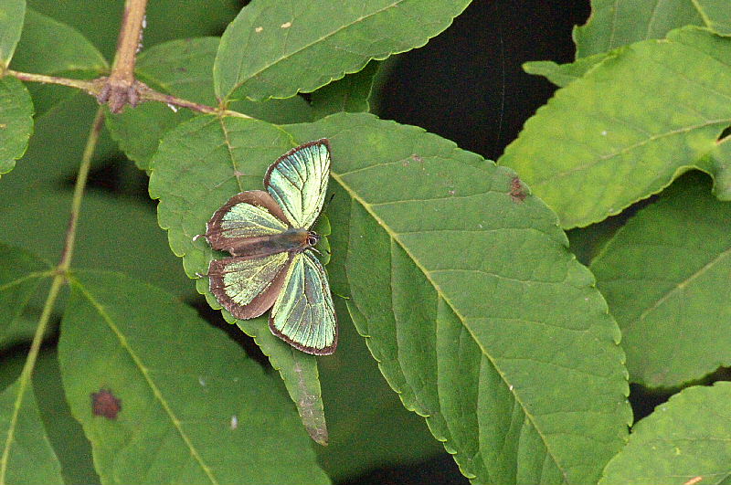 f0031682_1227495.jpg