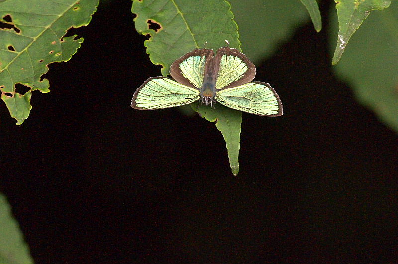 f0031682_12281986.jpg