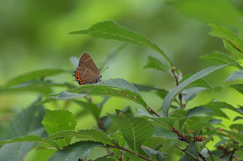 f0031682_1301694.jpg