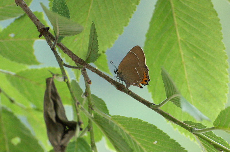 f0031682_1304899.jpg