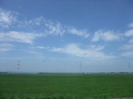 b0206085_1323932.jpg