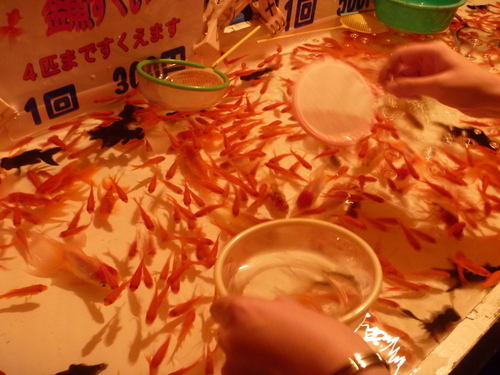 f0230992_16321256.jpg
