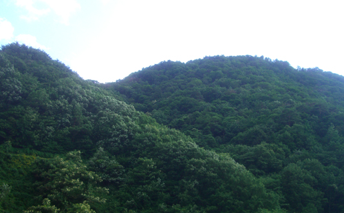b0099994_16214990.jpg