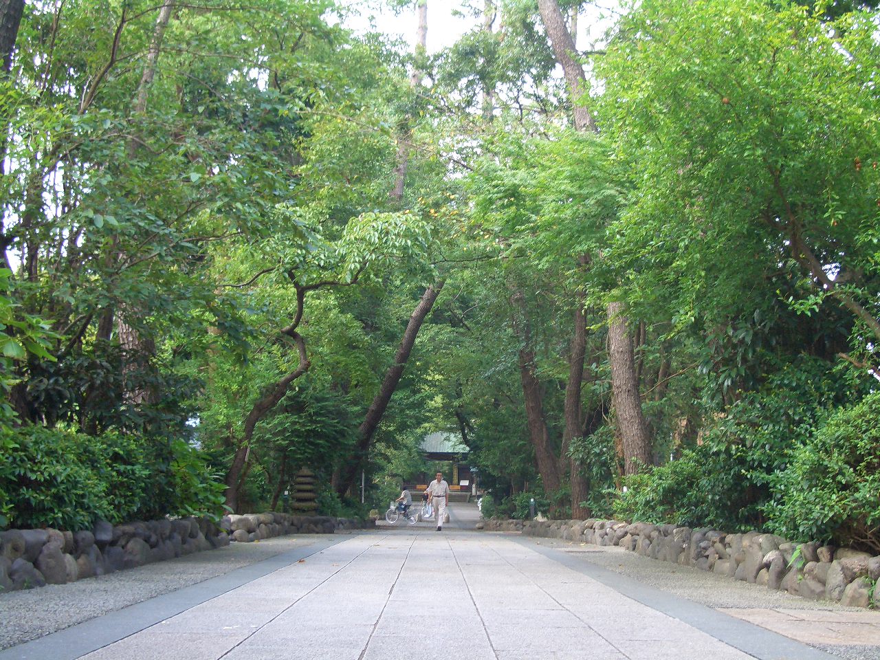 d0135694_154679.jpg