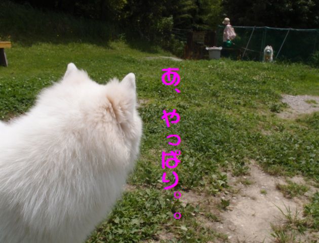 e0018604_14534236.jpg