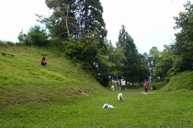 e0018604_153596.jpg