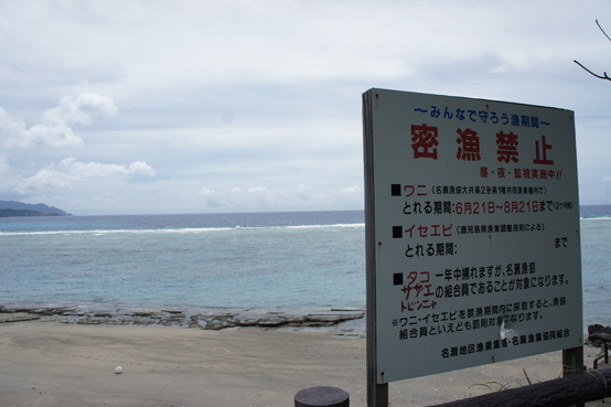 d0172508_2225769.jpg