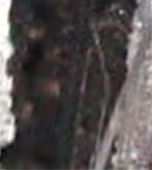 e0103408_1701426.jpg