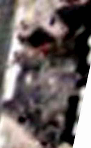 e0103408_17233482.jpg