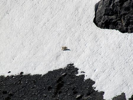 b0051109_742877.jpg