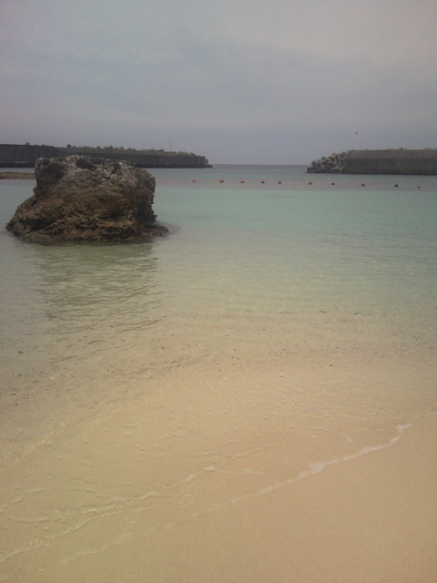 f0197325_1181016.jpg