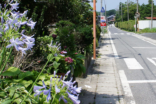 f0007926_11531033.jpg