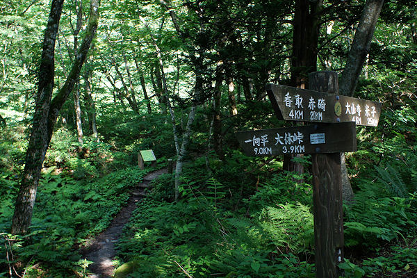 f0007926_12483475.jpg