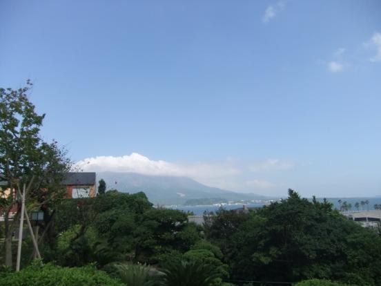 a0122532_1145225.jpg