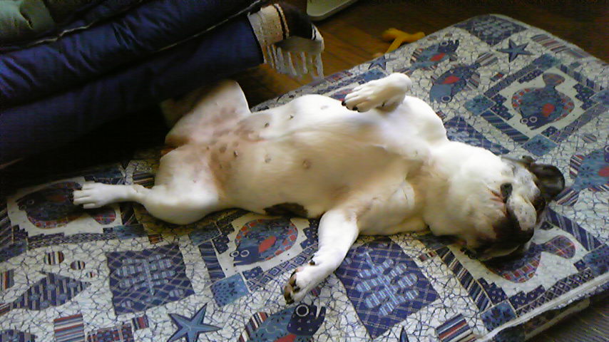e0008833_11572583.jpg