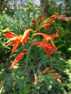 e0097534_14364043.jpg