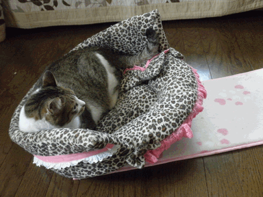 c0136736_12291532.gif
