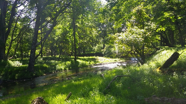 b0099538_18462083.jpg