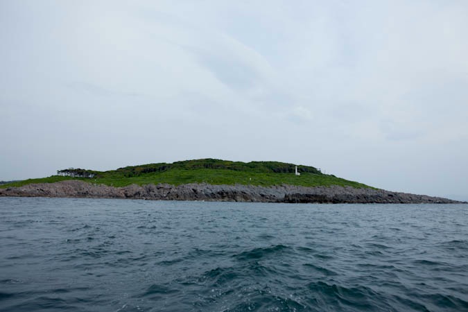 d0139939_2133357.jpg