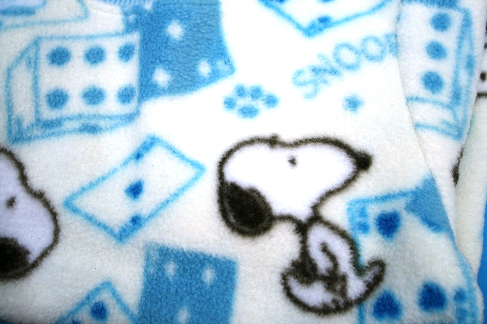 d0077740_336325.jpg