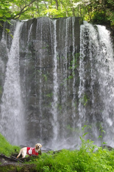 a0142343_1511253.jpg