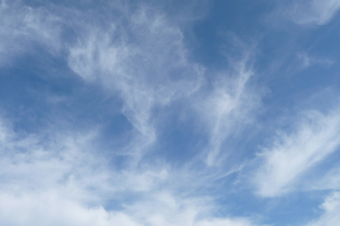 e0002850_23383187.jpg