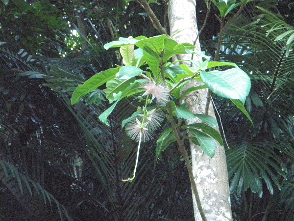 e0134752_8272285.jpg