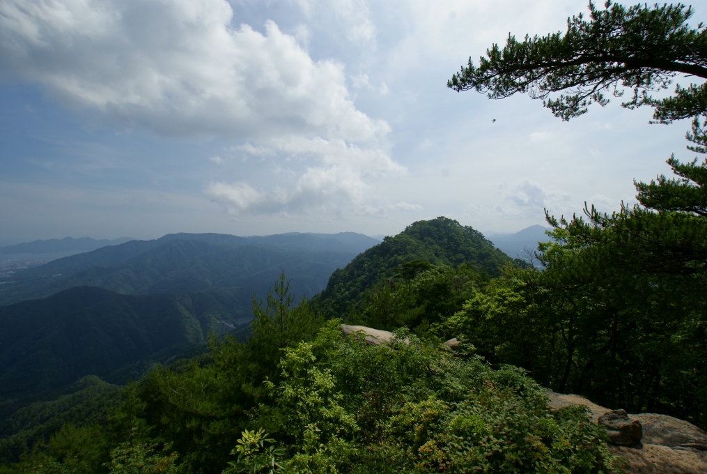 e0005253_1647428.jpg