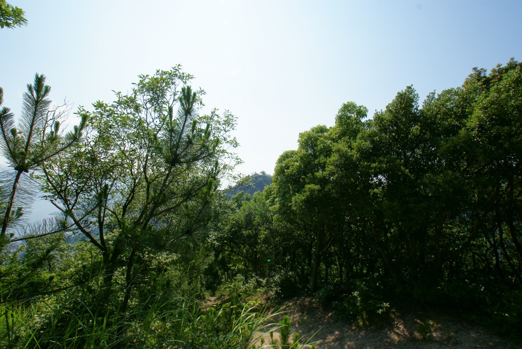 e0005253_19544216.jpg