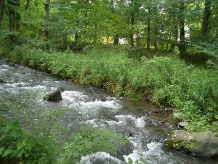 f0082356_23293199.jpg