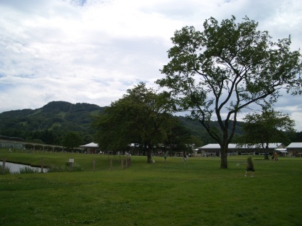 f0082356_23312481.jpg