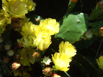 c0011862_2393033.jpg